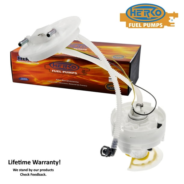 Delphi FG0980 Fuel Pump Module Delphi FG0980 Fuel Pump Module